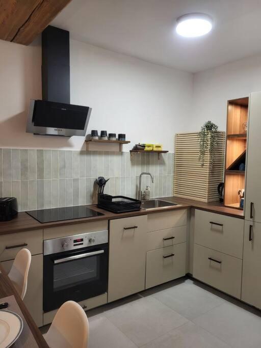 O Bon'Endroit - Appartement Confort - Centre Ville Vienne  Exteriör bild